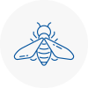 Bee Nest Removal North Yorkshire