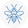 North Yorkshire Hornet Nest Removals