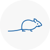 Mice Exterminators In North Yorkshire