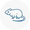 Rat Control North Yorkshire