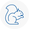 North Yorkshire Rodent Removals